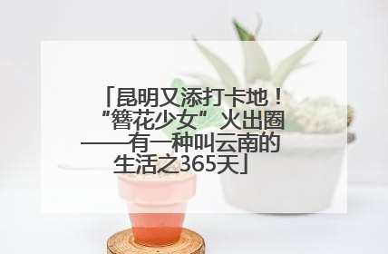 昆明又添打卡地！“簪花少女”火出圈——有一种叫云南的生活之365天