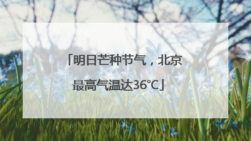 明日芒种节气，北京最高气温达36℃