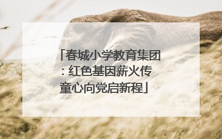 春城小学教育集团：红色基因薪火传 童心向党启新程