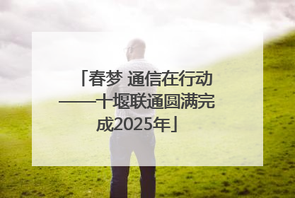 春梦 通信在行动——十堰联通圆满完成2025年