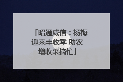 昭通威信：杨梅迎来丰收季 助农增收采摘忙