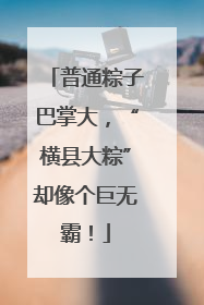 普通粽子巴掌大，“横县大粽”却像个巨无霸！