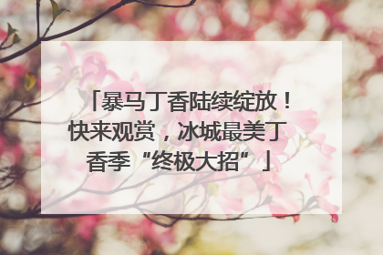 暴马丁香陆续绽放！快来观赏，冰城最美丁香季“终极大招”