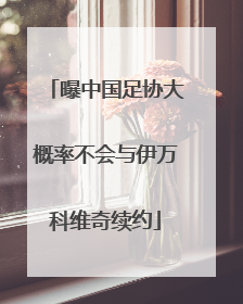 曝中国足协大概率不会与伊万科维奇续约