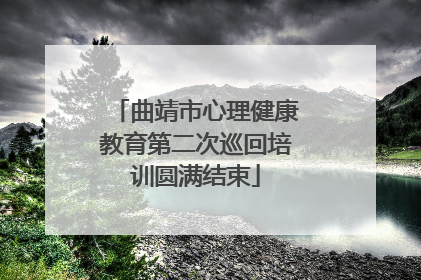 曲靖市心理健康教育第二次巡回培训圆满结束