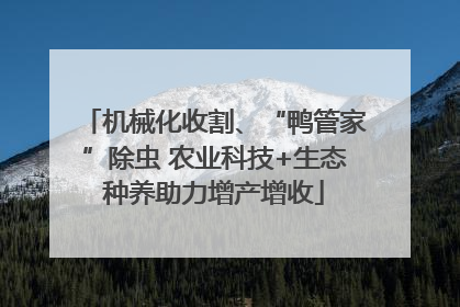 机械化收割、“鸭管家”除虫 农业科技+生态种养助力增产增收