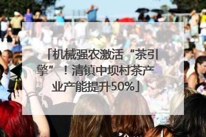 机械强农激活“茶引擎”！清镇中坝村茶产业产能提升50%