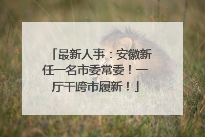 最新人事：安徽新任一名市委常委！一厅干跨市履新！