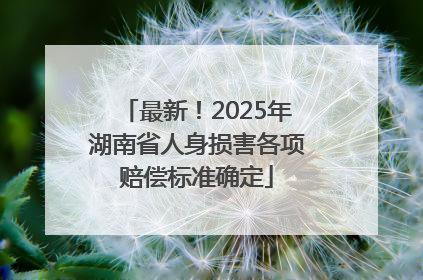 最新！2025年湖南省人身损害各项赔偿标准确定