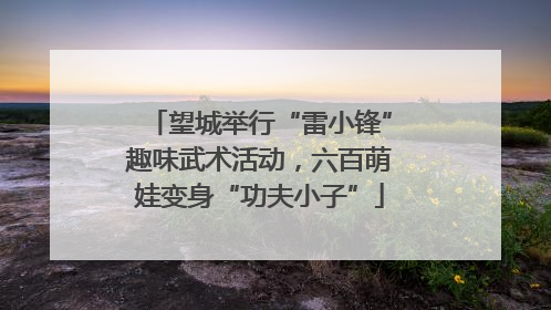 望城举行“雷小锋”趣味武术活动，六百萌娃变身“功夫小子”