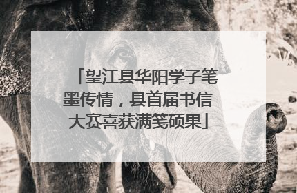 望江县华阳学子笔墨传情，县首届书信大赛喜获满笺硕果