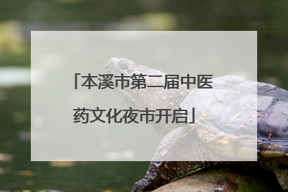 本溪市第二届中医药文化夜市开启