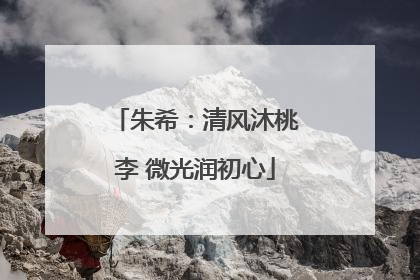 朱希：清风沐桃李 微光润初心