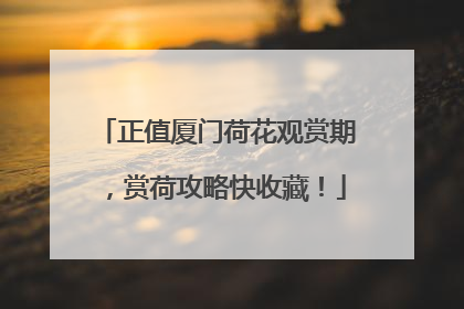 正值厦门荷花观赏期，赏荷攻略快收藏！