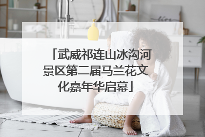武威祁连山冰沟河景区第二届马兰花文化嘉年华启幕