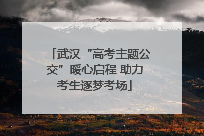 武汉“高考主题公交”暖心启程 助力考生逐梦考场