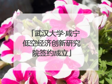 武汉大学·咸宁低空经济创新研究院签约成立