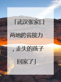 武汉张家口两地跨省接力，走失的孩子回家了