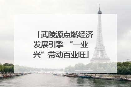 武陵源点燃经济发展引擎 “一业兴”带动百业旺