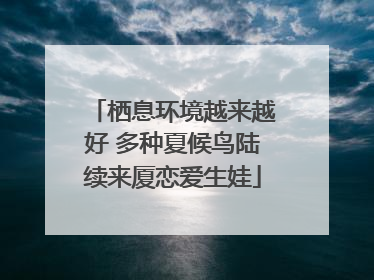 栖息环境越来越好 多种夏候鸟陆续来厦恋爱生娃