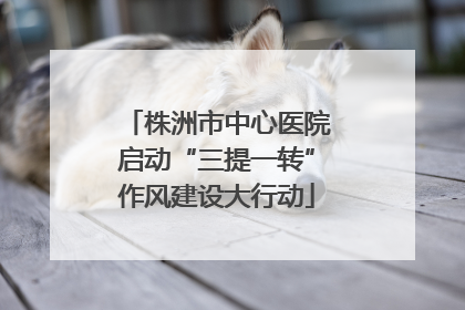 株洲市中心医院启动“三提一转”作风建设大行动