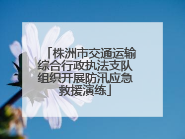 株洲市交通运输综合行政执法支队组织开展防汛应急救援演练