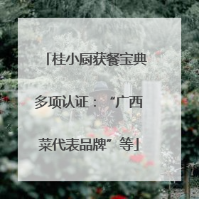桂小厨获餐宝典多项认证：“广西菜代表品牌”等