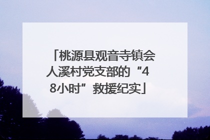 桃源县观音寺镇会人溪村党支部的“48小时”救援纪实