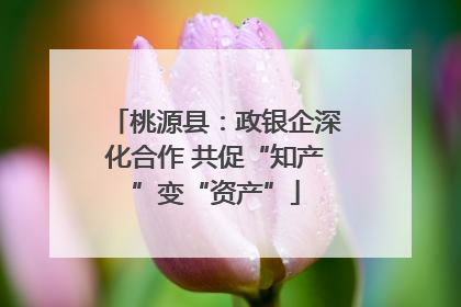 桃源县：政银企深化合作 共促“知产”变“资产”