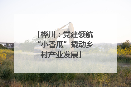 桦川：党建领航“小香瓜”撬动乡村产业发展