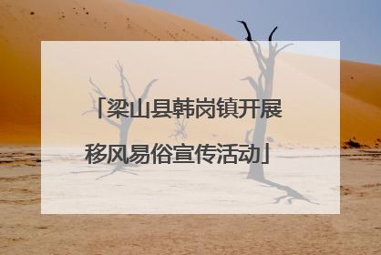 梁山县韩岗镇开展移风易俗宣传活动