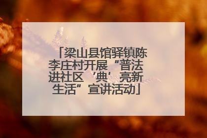梁山县馆驿镇陈李庄村开展“普法进社区‘典’亮新生活”宣讲活动