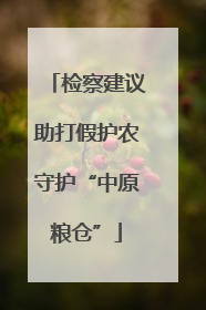 检察建议助打假护农守护“中原粮仓”