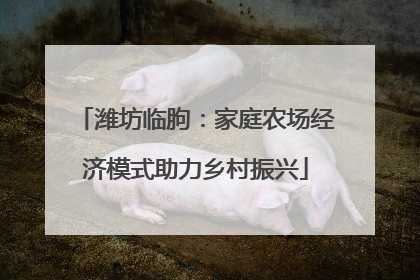 潍坊临朐：家庭农场经济模式助力乡村振兴