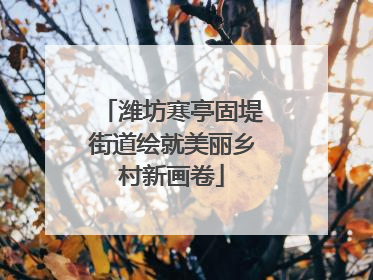 潍坊寒亭固堤街道绘就美丽乡村新画卷
