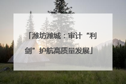 潍坊潍城：审计“利剑”护航高质量发展