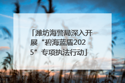 潍坊海警局深入开展“碧海蓝盾2025”专项执法行动