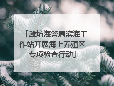 潍坊海警局滨海工作站开展海上养殖区专项检查行动