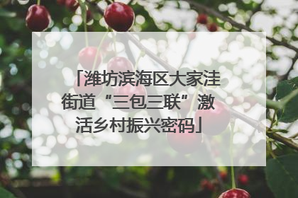 潍坊滨海区大家洼街道“三包三联”激活乡村振兴密码