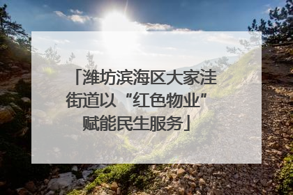 潍坊滨海区大家洼街道以“红色物业”赋能民生服务