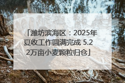潍坊滨海区：2025年夏收工作圆满完成 5.22万亩小麦颗粒归仓