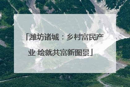 潍坊诸城：乡村富民产业 绘就共富新图景