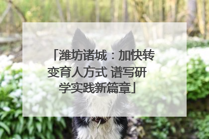 潍坊诸城：加快转变育人方式 谱写研学实践新篇章
