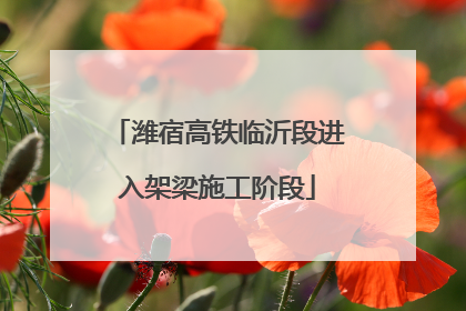 潍宿高铁临沂段进入架梁施工阶段