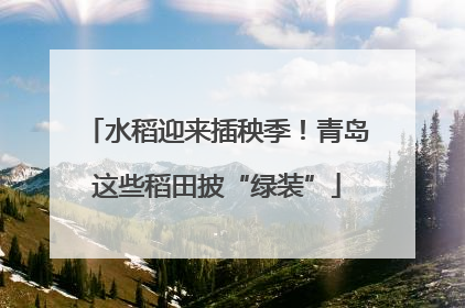 水稻迎来插秧季！青岛这些稻田披“绿装”