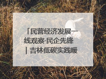 民营经济发展一线观察·民企先锋｜吉林低碳实践暖民心：太阳能供暖技术为北方清洁取暖破局