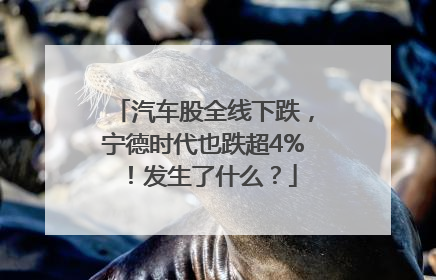 汽车股全线下跌，宁德时代也跌超4%！发生了什么？