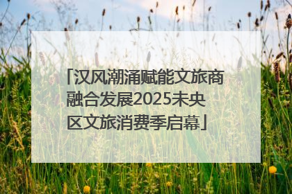 汉风潮涌赋能文旅商融合发展2025未央区文旅消费季启幕