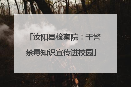 汝阳县检察院：干警禁毒知识宣传进校园
