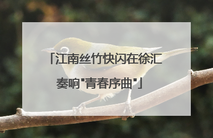 江南丝竹快闪在徐汇奏响